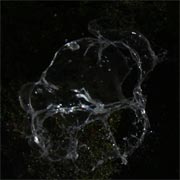 �f�J����