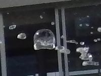 ���N���Q�I�H(������B�e)