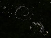 ���ԉ�(�ォ��B�e)