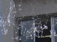 �V���{���t�̗����I