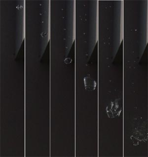 ���N���Q�̘A���ʐ^