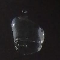 ���ꂪ���N���Q���I