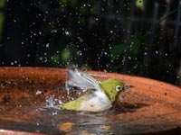 ���W���̐�����