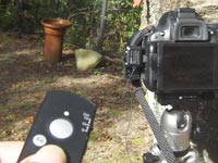 ���C�����X�����R�����Z�b�g