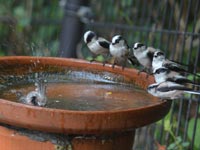 ���W���̐�����