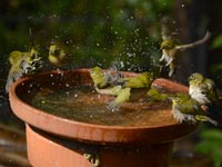 ���W����