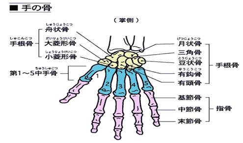 ④TFCC（三角線維軟骨複合体）損傷